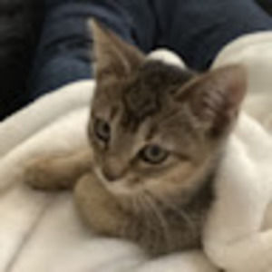 Meet your Posher, Victoria